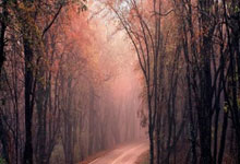 费尔明在倒地未获点球后向镜头说道：我的天哪.