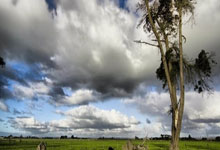 唉，好难过，这位广东球迷才23岁.