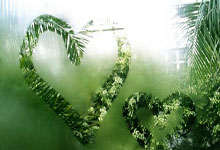 唉，好难过，这位广东球迷才23岁.